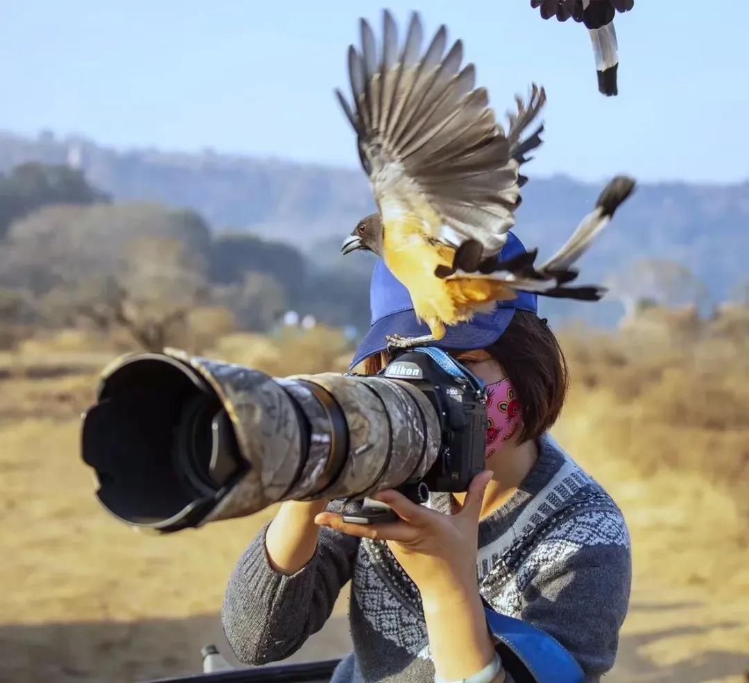 Travelers exploring nature